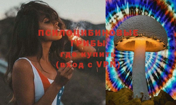 МДПВ Наволоки