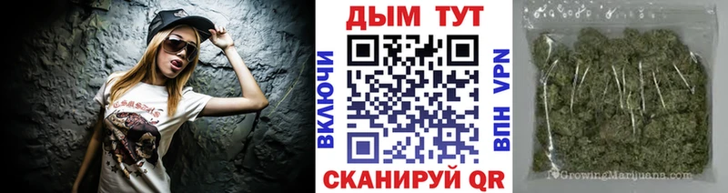 закладка  Сольвычегодск  Шишки марихуана OG Kush 